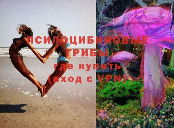 таблы Гусь-Хрустальный