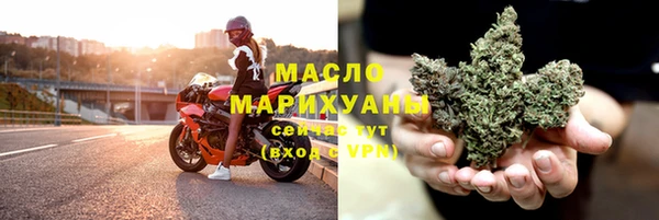 spice Гусев