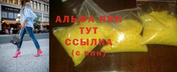 spice Гусев