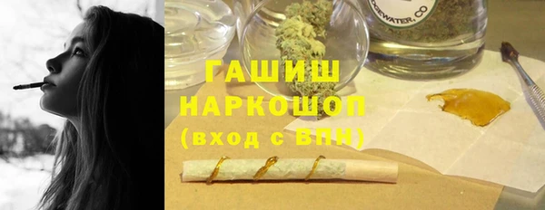 spice Гусев
