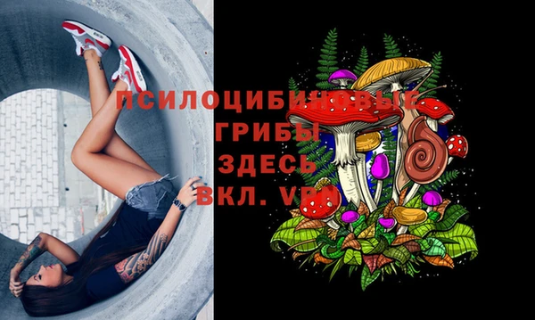 spice Гусев