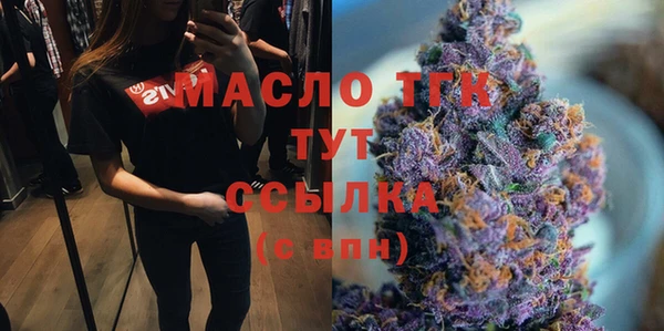 spice Гусев