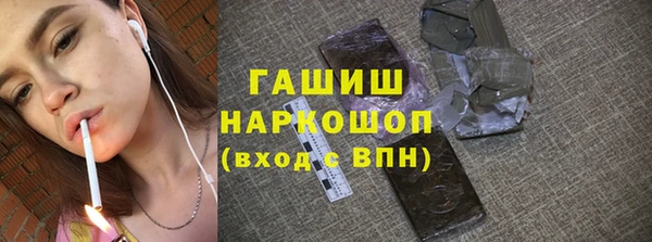 spice Гусев