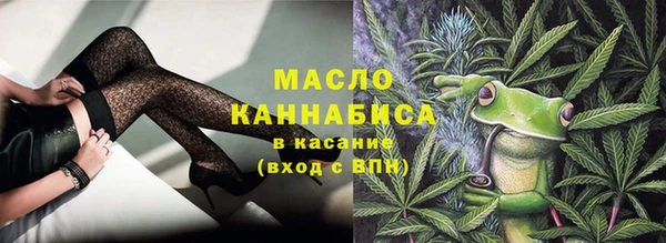 spice Гусев