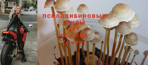 mdma Гусиноозёрск