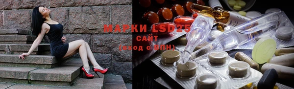 spice Гусев