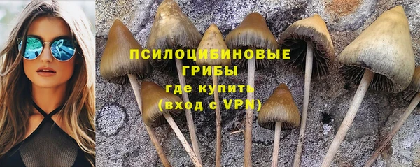 таблы Гусь-Хрустальный