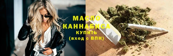 spice Гусев