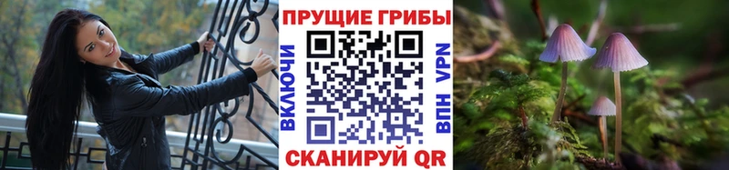 Галлюциногенные грибы ЛСД  Купить закладки  Волосово 